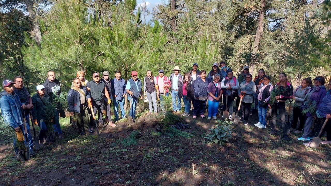 REFORESTACIÓN CONTINUA PARA FORTALECER LOS BOSQUES 